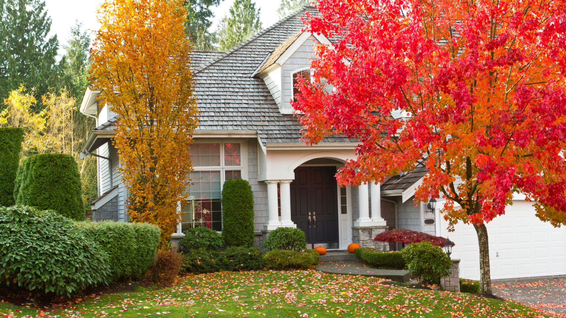 What Time of Year is the Cheapest to Replace a Roof?