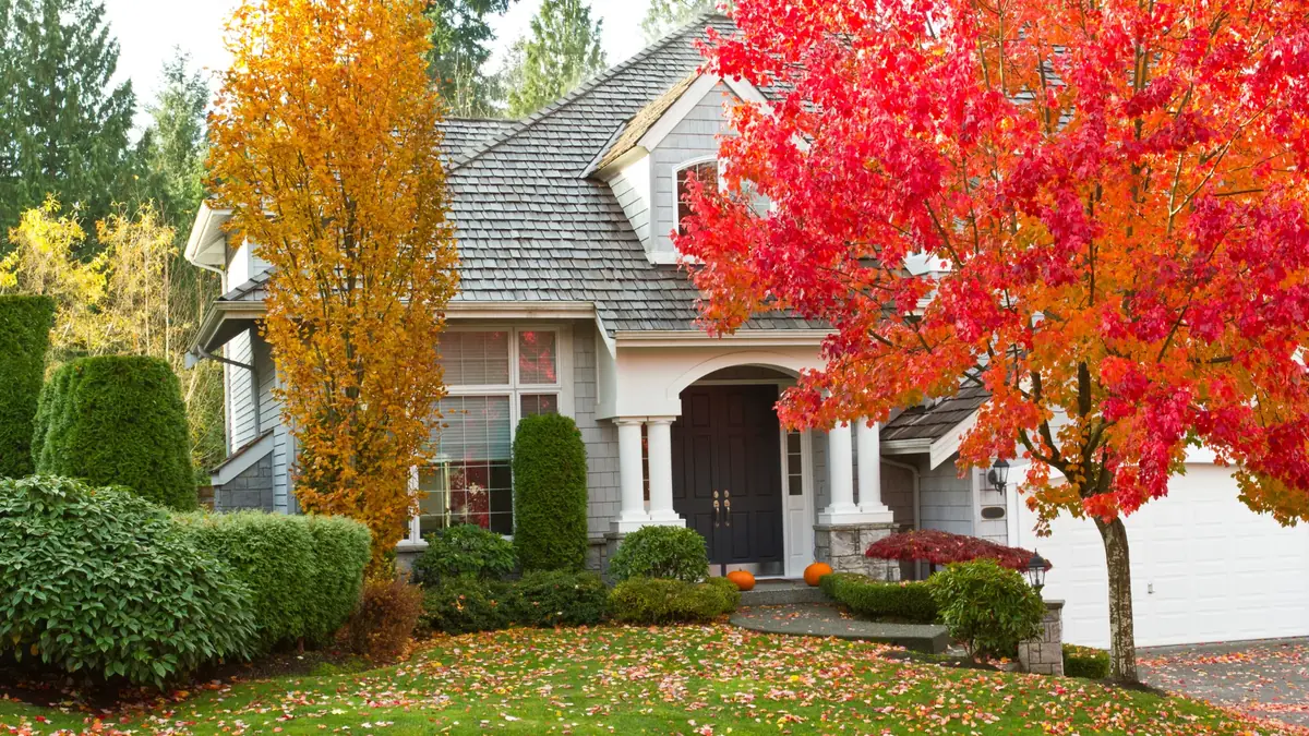 Cheapest time of year to replace a roof in the Tri-Cities — Palisade Roofing blog post.