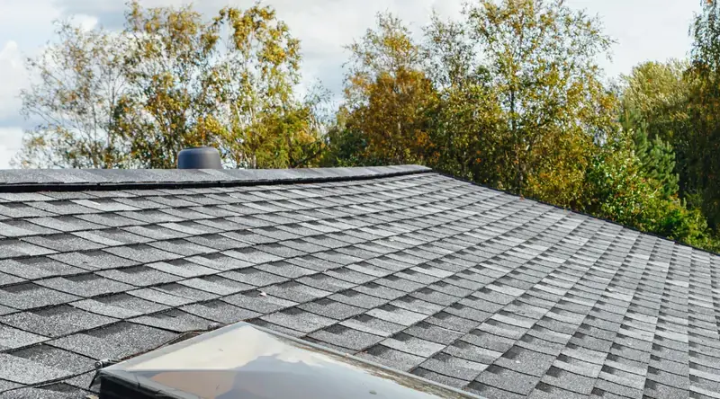 Architectural asphalt shingle roof — Atlas Pinnacle Pristine line